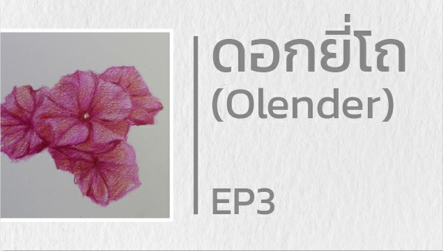 EP3 สอนวาดดอกยี่โถ (Olender)