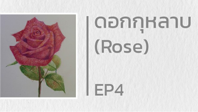 EP4 สอนวาดดอกกุหลาบ (Rose)