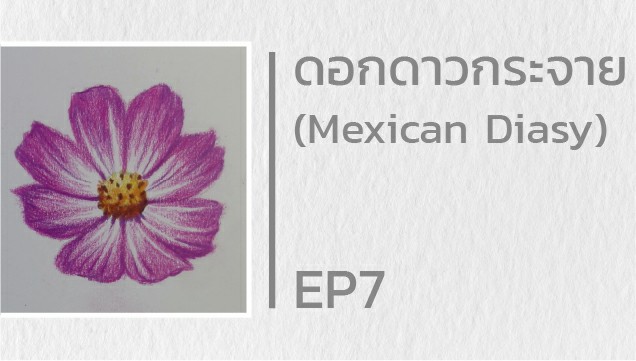 EP7 สอนวาดดอกดาวกระจาย (Mexican Diasy)