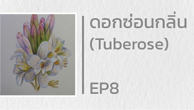 EP8 สอนวาดดอกซ่อนกลิ่น (Tuberose)