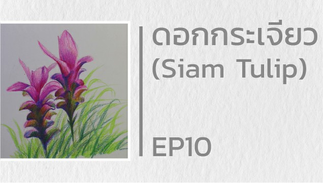 EP10 สอนวาดดอกกระเจียว (Siam Tulip)