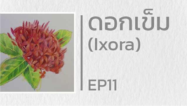 EP11 สอนวาดดอกเข็ม (Ixora)