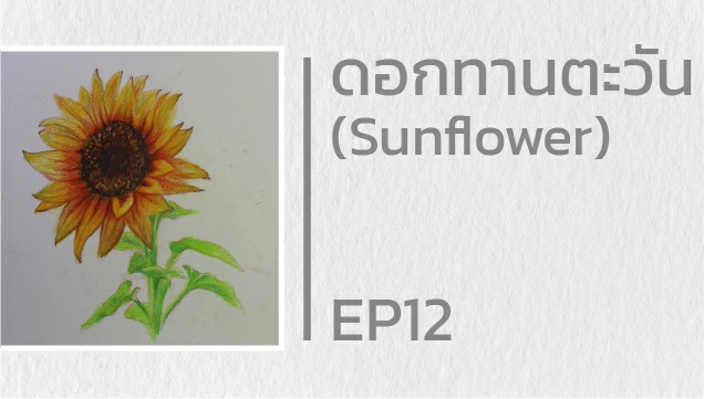 EP12 สอนวาดดอกทานตะวัน (Sunflower)