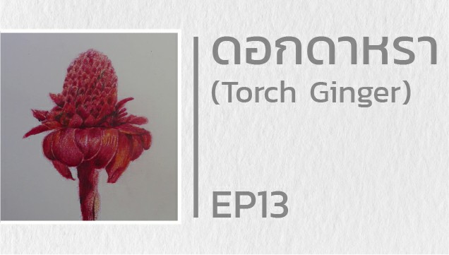EP13 สอนวาดดอกดาหรา (Torch Ginger)