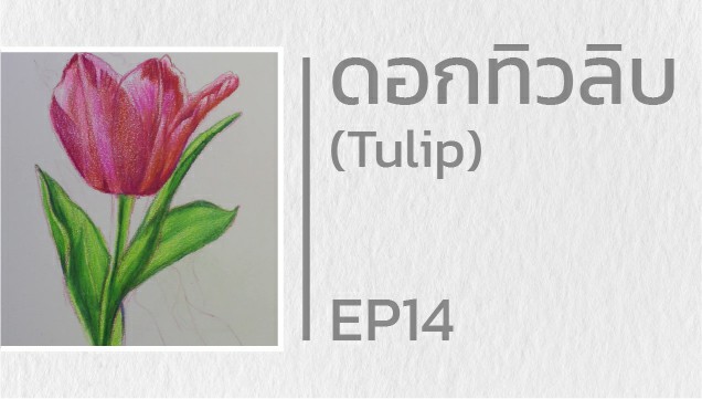 EP14 สอนวาดดอกทิวลิบ (Tulip)