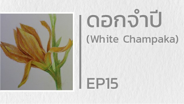 EP15 สอนวาดดอกจำปี (White Champaka)