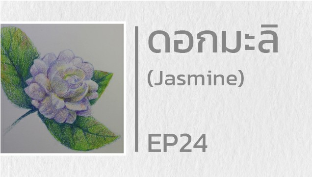 EP24 สอนวาดดอกมะลิ (Jasmine)