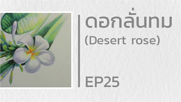 EP25 สอนวาดดอกลั่นทม (Desert rose)