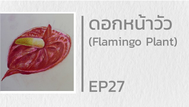 EP27 สอนวาดดอกหน้าวัว (Flamingo Plant)