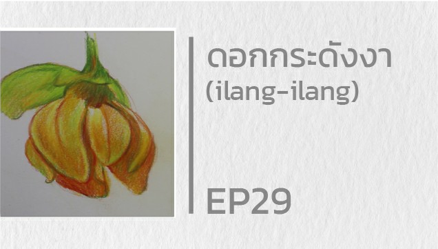 EP29 สอนวาดภาพ ดอกกระดังงา (ilang-ilang)